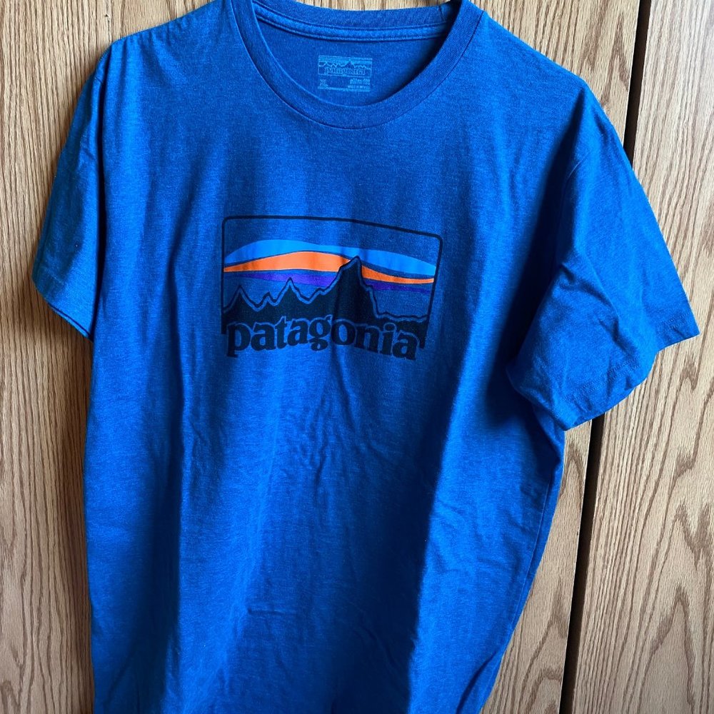 Patagonia Men's Slim Fit, Blue Mountain T-Shirt